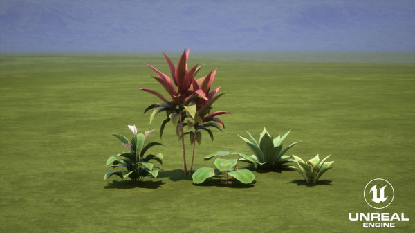 Plants Tropical G93