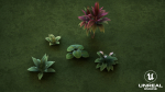 Plants Tropical G93