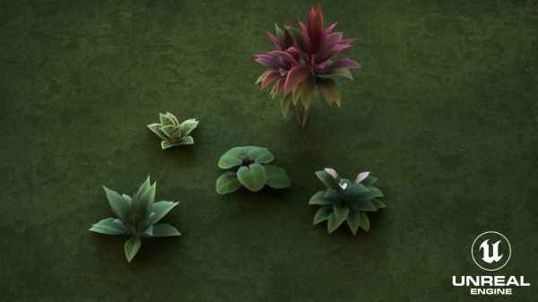 Plants Tropical G93