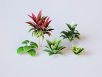 Plants Tropical G93