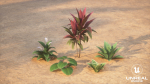 Plants Tropical G93