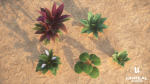 Plants Tropical G93