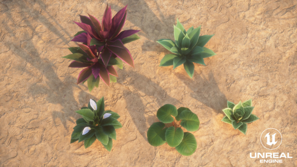 Plants Tropical G93