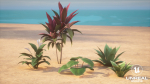 Plants Tropical G93