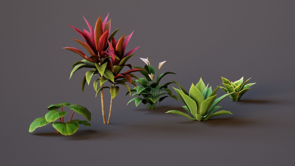 Plants Tropical G93