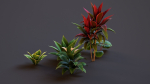 Plants Tropical G93