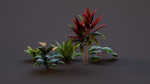 Plants Tropical G93