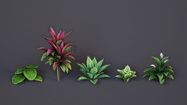 Plants Tropical G93