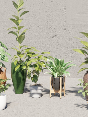plants-with-pots-3d-model-low-poly-obj-fbx-stl-blend-dae-gltf