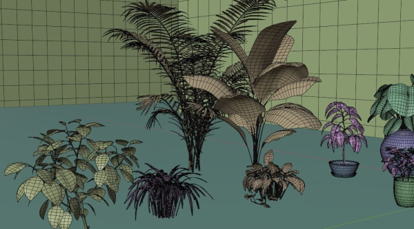 plants with pots