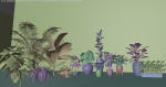 plants with pots