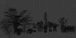 plants with pots