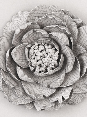 plaster-peony-3d-model-f2ad5428a0