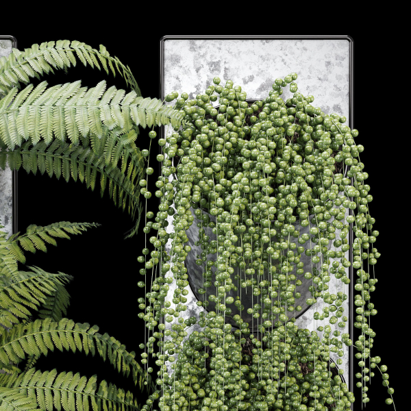 Pocket fern wall planter