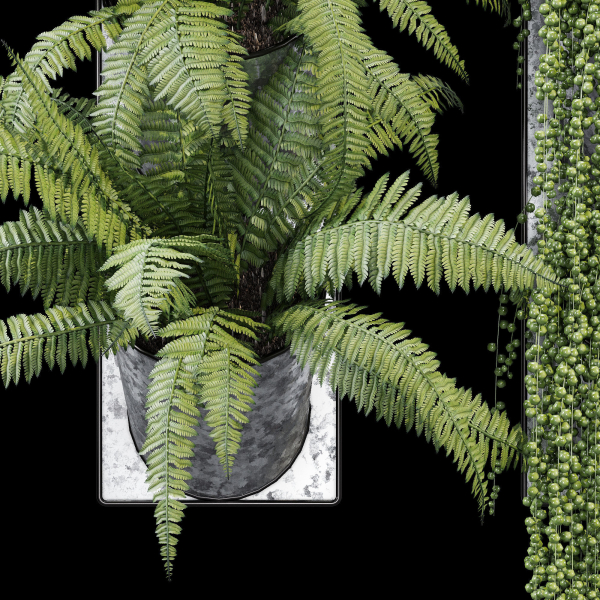 Pocket fern wall planter