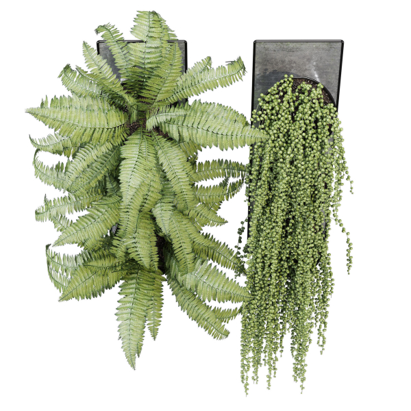 Pocket fern wall planter
