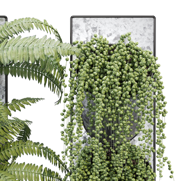 Pocket fern wall planter
