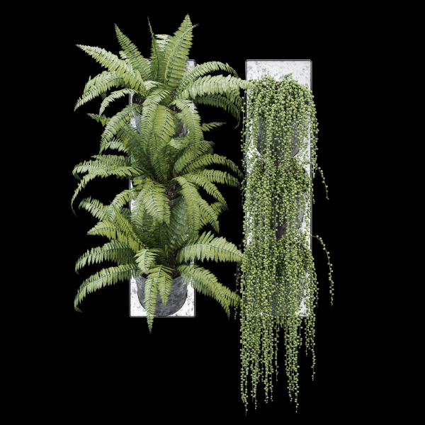 Pocket fern wall planter
