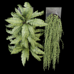 Pocket fern wall planter