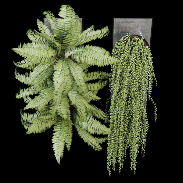 Pocket fern wall planter