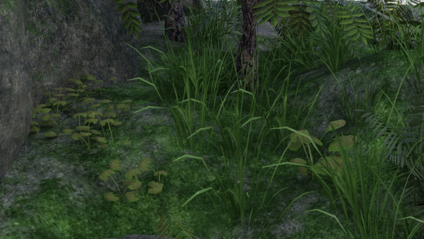 Pond Scene