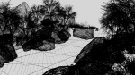 Pond Scene