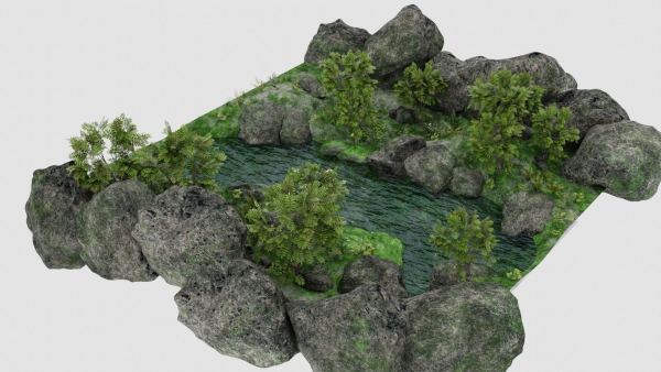 Pond Scene