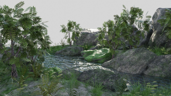 Pond Scene