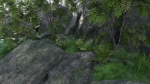 Pond Scene