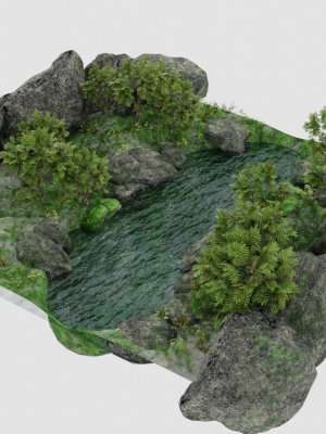 Pond Scene