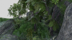 Pond Scene
