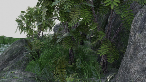 Pond Scene