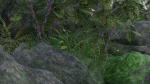 Pond Scene