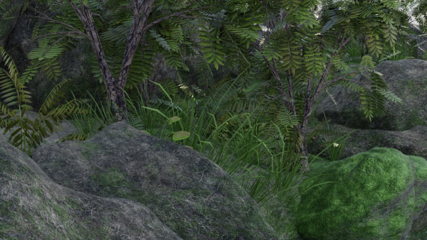 Pond Scene