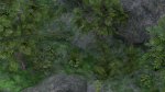 Pond Scene