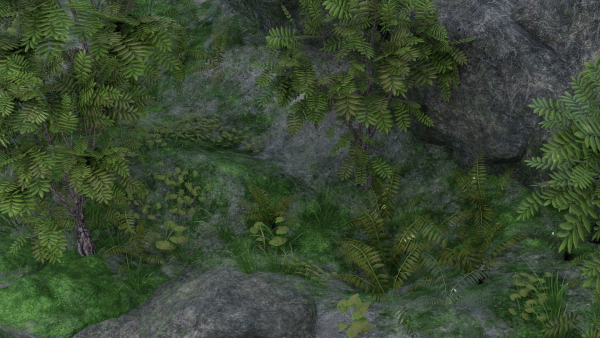 Pond Scene