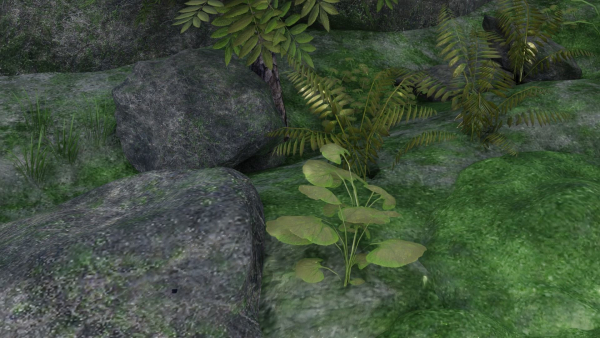 Pond Scene