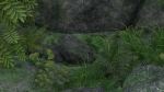 Pond Scene