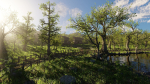 Pond Village Scene