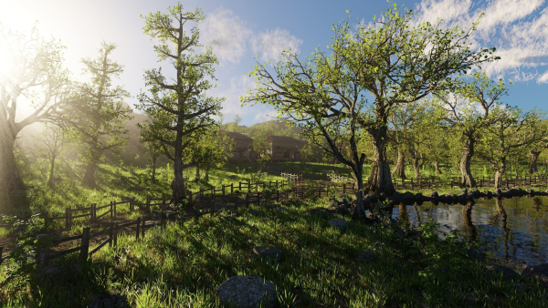 Pond Village Scene