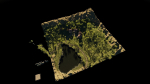 Pond Village Scene