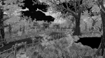 Pond Village Scene