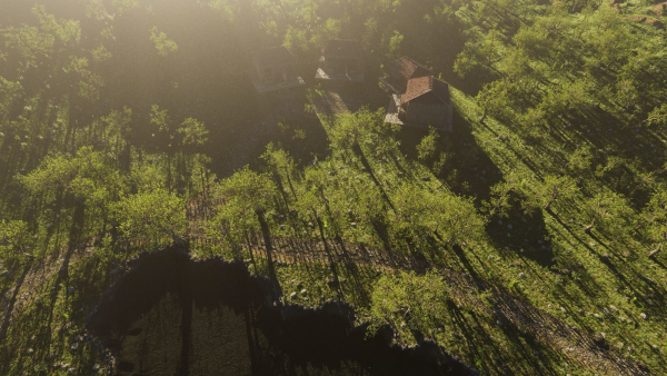 Pond Village Scene