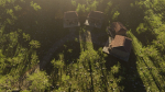 Pond Village Scene