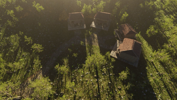 Pond Village Scene