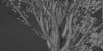 Poplar populus trees vol 116-Blender