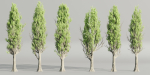 Poplar trees collection vol 145-Blender