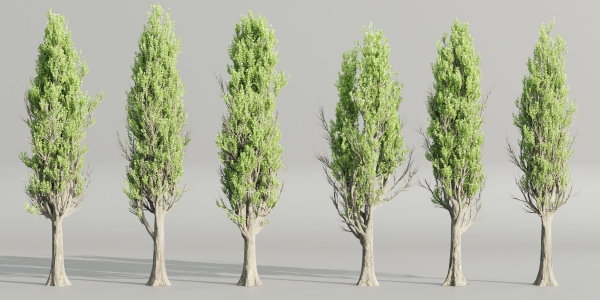 Poplar trees collection vol 145-Blender