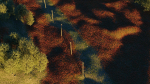 Poppy Field