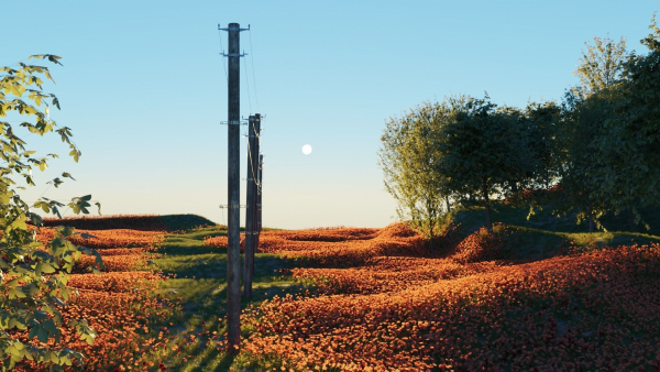 Poppy Field